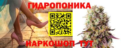 спиды Тверь