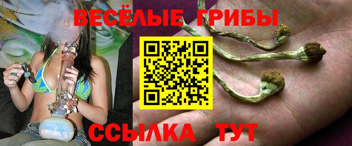Галлюциногенные грибы мухоморы Ахтубинск