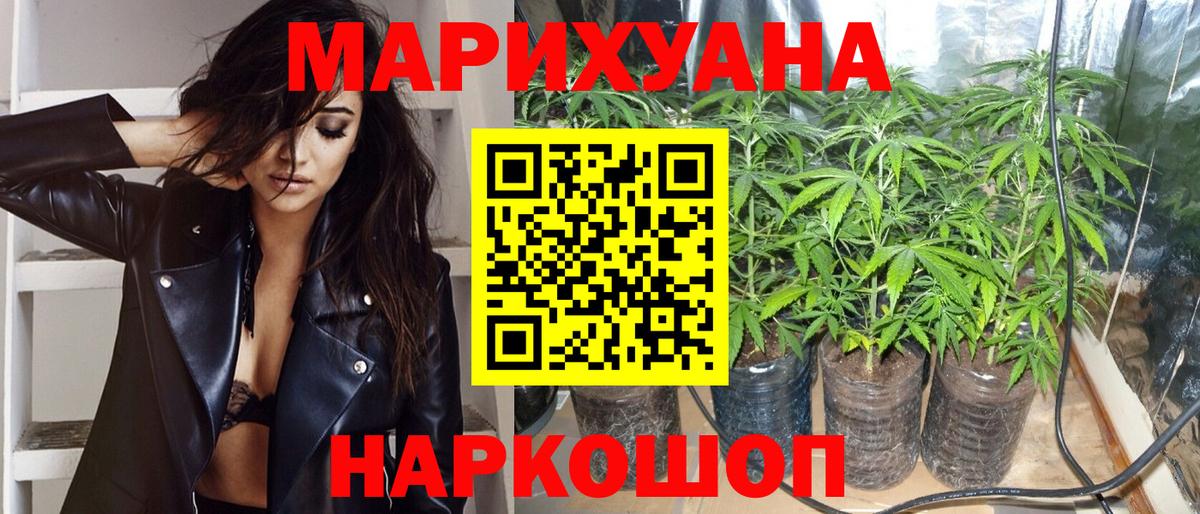 Бошки марихуана семена Ахтубинск